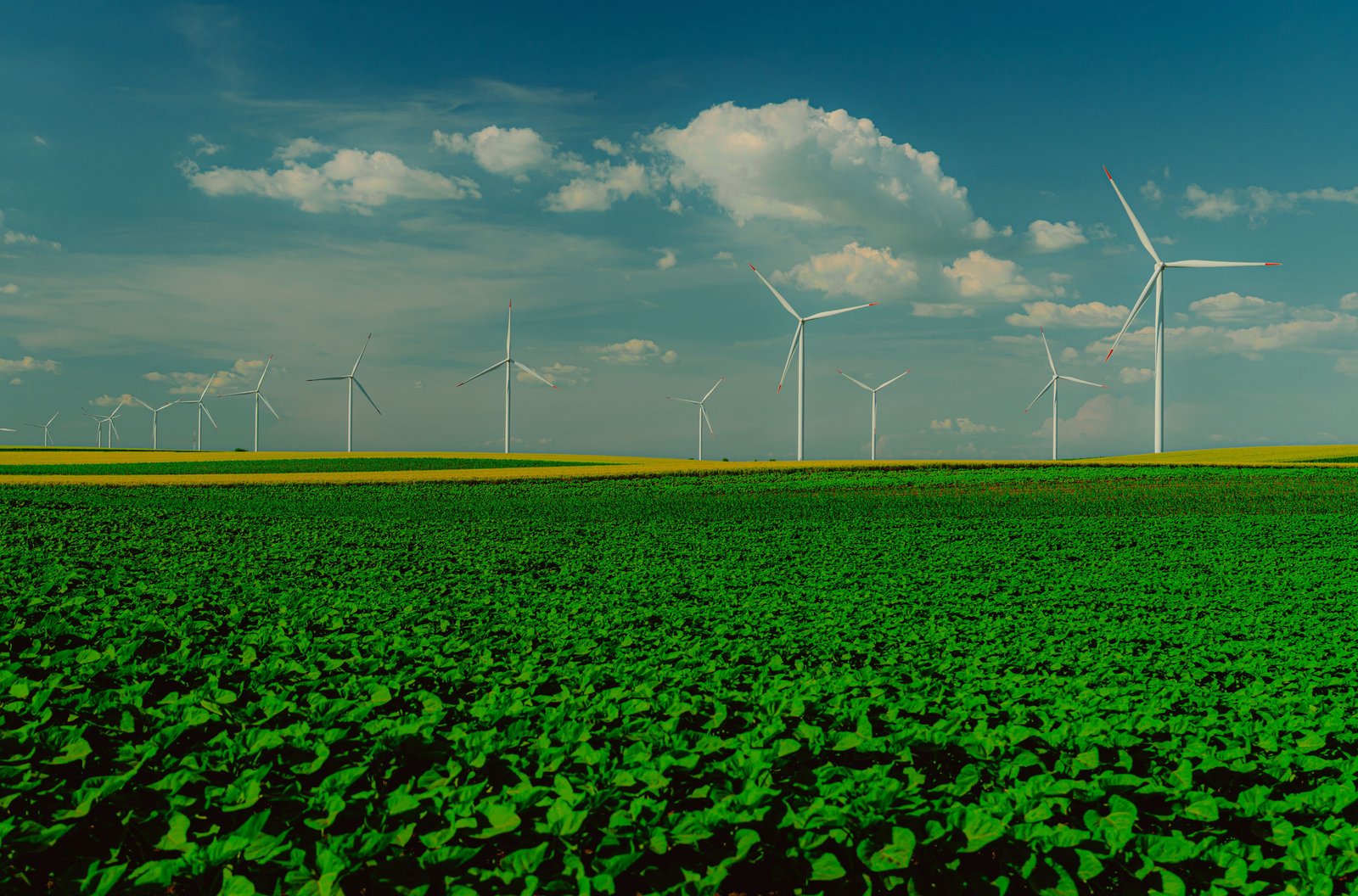 Wind turbines above green agricultural fields, illustrating renewable energy.
